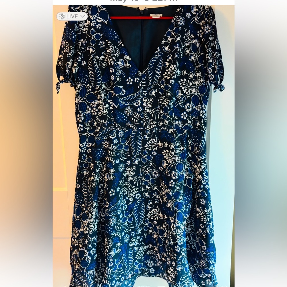 J. Crew Blue and White Flutter Sleeve Blouse